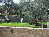 foto06